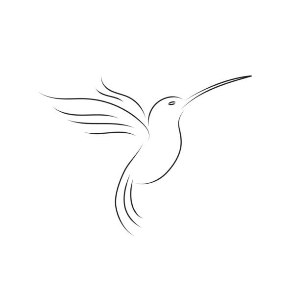 OOZRO Tatouage ephemere symbolique de Colibri