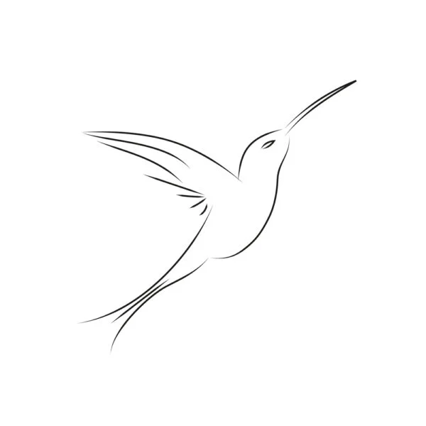 OOZRO Tatouage ephemere symbolique de Colibri