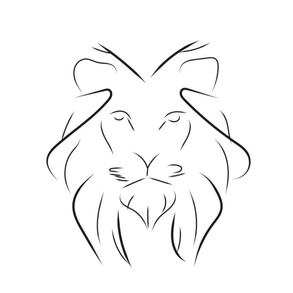 OOZRO Tatouage ephemere symbolique de Lion