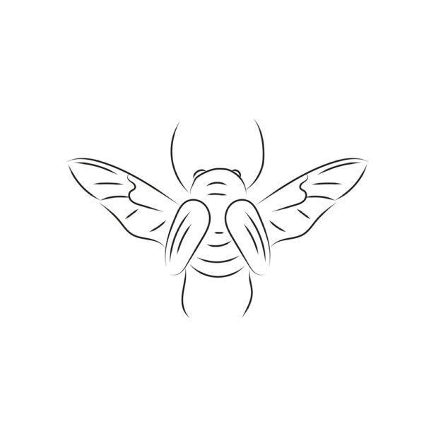 OOZRO Tatouage ephemere symbolique de Scarabee