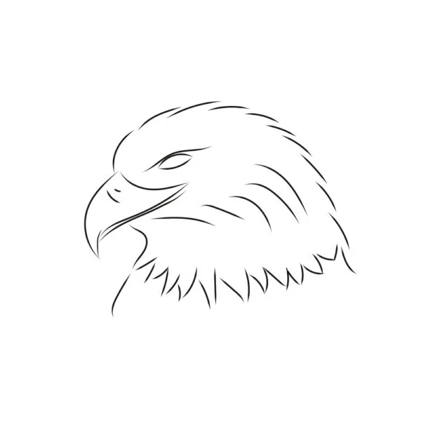 OOZRO Tatouage ephemere symbolique d'Aigle