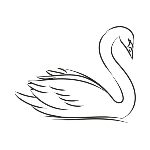 Cygne